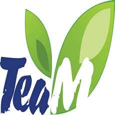 CÔNG TY TNHH TEAMOBI
